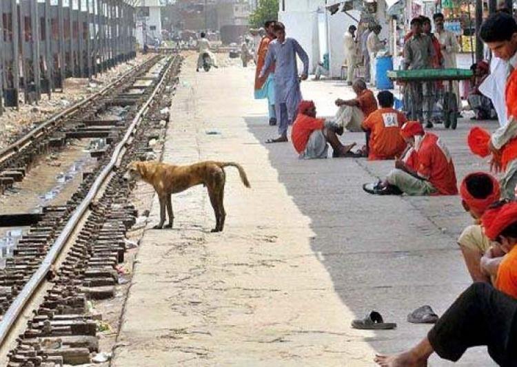 Dog Sacrificed His Own Life Saving Six Train Passengers From Electrocution