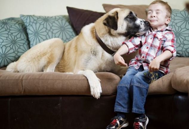 Watch How A Three Legged Dog Haatchi Helped A Boy With Rare Disease to Overcome his fears