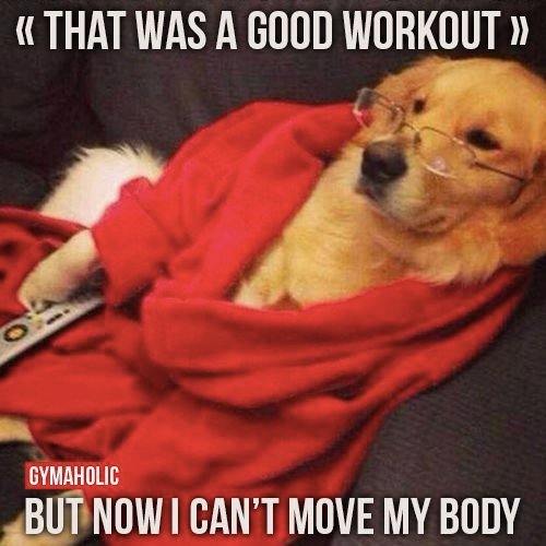 funny gym images