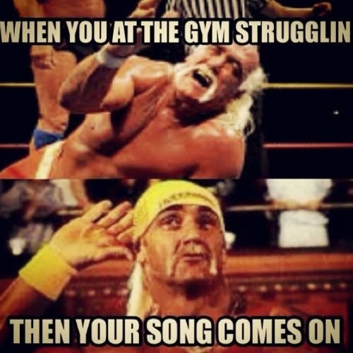 funny gym images