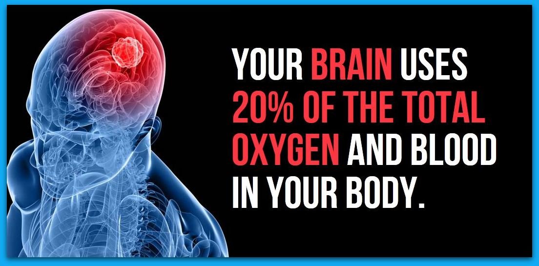28 Amazing Facts About Human Body & Brain You Must Know
