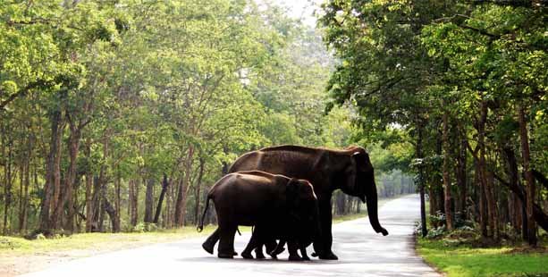 wayanad tourist place
