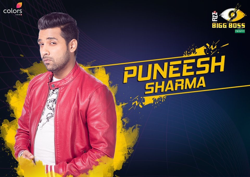 Puneesh Sharma (Bigg Boss 11)