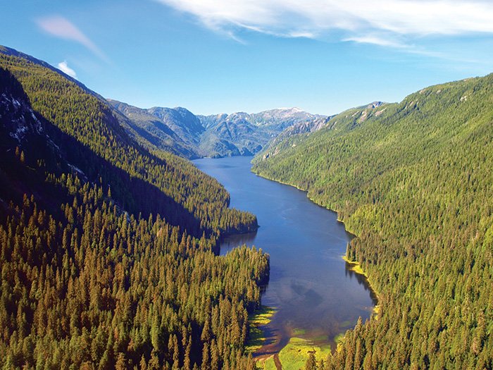 7 Reasons You Know to Go for an Alaska Fishing Trip