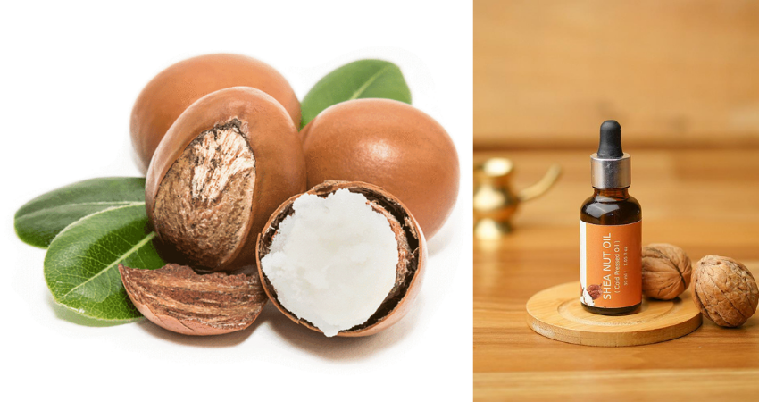 15 Benefits Of Shea Nut Oil For Hair & Skin