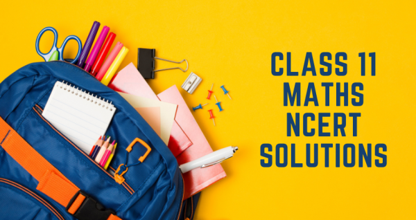 Here Are 6 Benefits of Referring to NCERT Solutions