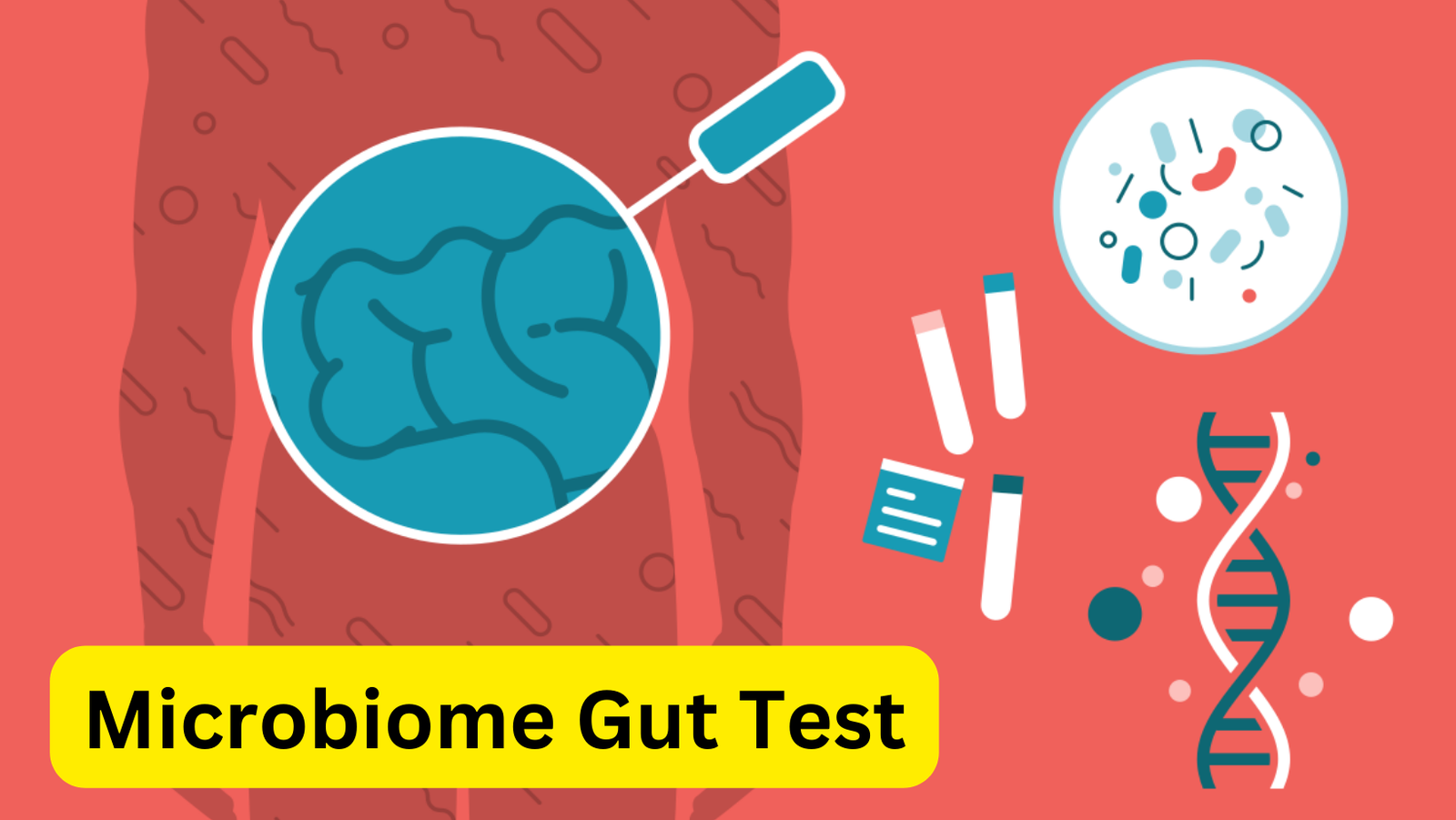 Microbiome Gut Test